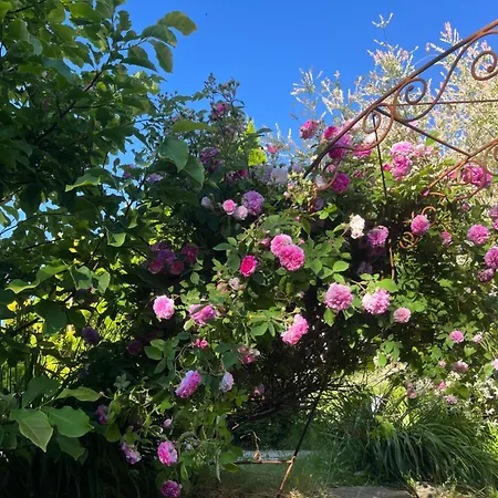 Nad Stawem * 克雷尼察